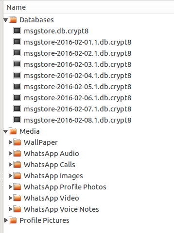 WhatsApp-folder-structure